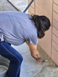 Agape Cleaning Services Team Member