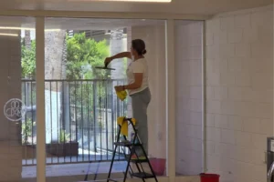 Window Cleaning Service